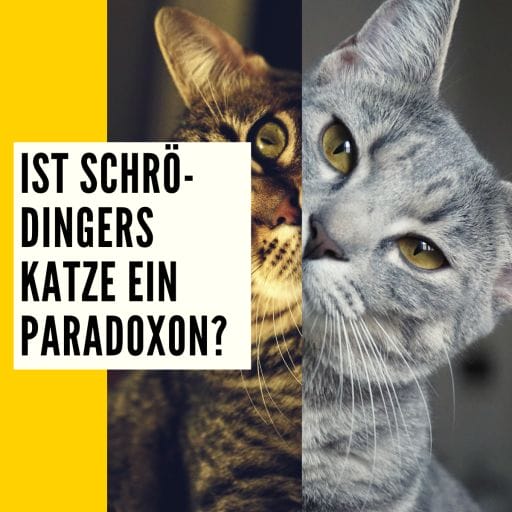 Aufklärung darüber, ob es sich bei der Katze von Schrödinger um ein Paradoxon handelt oder nicht