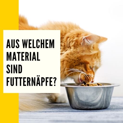 Metall, Hartplastik & Kunststoff es gibt verschiedene Materialien die für Futternäpfe verwendet werden können. Hier zeigen wir welches Material für deine Katze am besten geeignet ist.